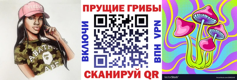 Галлюциногенные грибы прущие грибы  Новая Ладога 